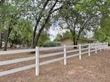 12097 Romar Street - Photo 2