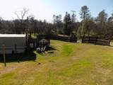 16322 Towerview Circle - Photo 4