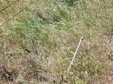 4027 Two Feathers Road - Photo 16