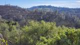 11827 Dawn Drive - Photo 12