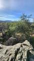 11827 Dawn Drive - Photo 14