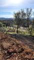 11827 Dawn Drive - Photo 2