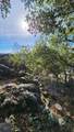 11827 Dawn Drive - Photo 26