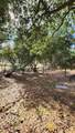 11827 Dawn Drive - Photo 3