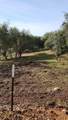 11827 Dawn Drive - Photo 5