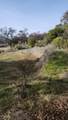 11827 Dawn Drive - Photo 7