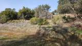 11827 Dawn Drive - Photo 8