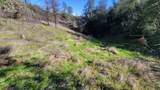 Lot 8 Hidden Oaks Trail - Photo 10