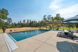 16107 Texas Springs Road - Photo 60