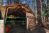 30726 Shingletown Ridge Road - Photo 47