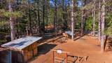 30726 Shingletown Ridge Road - Photo 76
