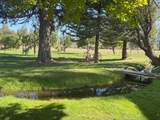 42048 Wilcox Road - Photo 72