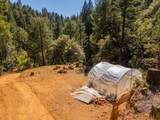 20922 Red Bridge Road - Photo 35