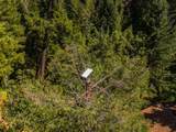 20922 Red Bridge Road - Photo 36