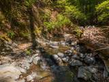 20922 Red Bridge Road - Photo 39