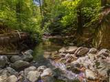 20922 Red Bridge Road - Photo 40