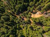 20922 Red Bridge Road - Photo 41