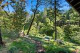 20922 Red Bridge Road - Photo 65