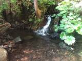 20922 Red Bridge Road - Photo 9