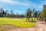13335 Alicia Parkway - Photo 13