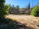 17031 Slate Creek Road - Photo 8