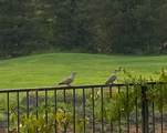 5390 Indianwood Drive - Photo 47
