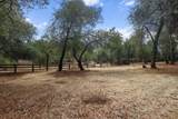 12003 Counter Lane - Photo 34