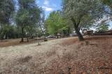 12003 Counter Lane - Photo 35