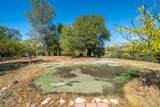 22129 Elk Trail - Photo 59