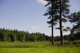 29276 Bullskin Ridge Road - Photo 10
