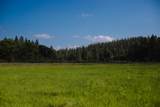 29276 Bullskin Ridge Road - Photo 2