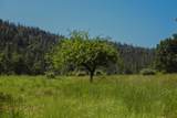 29276 Bullskin Ridge Road - Photo 20