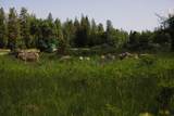 29276 Bullskin Ridge Road - Photo 3