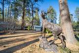 29276 Bullskin Ridge Road - Photo 34
