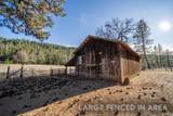 29276 Bullskin Ridge Road - Photo 61