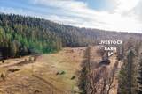29276 Bullskin Ridge Road - Photo 62