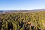 29276 Bullskin Ridge Road - Photo 66