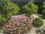 4125 Oro Street - Photo 37