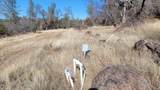 Lot 30 Lack Creek Drive - Photo 22