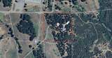29944 White Pine Way - Photo 29