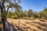 10684 Cheshire Way - Photo 44