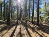 Lot 158 Bridger Way - Photo 3