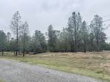 20466 Winchester Trail - Photo 3