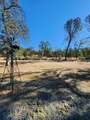 13940 Down Pages Lane - Photo 36