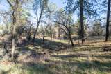 Lot 21 Black Butte Rd Avenue - Photo 8