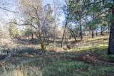 Lot 21 Black Butte Rd Avenue - Photo 9