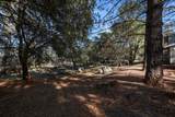 28424 Alpine Way - Photo 33