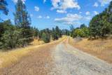 Lot 9 Canto De Las Lupine Drive - Photo 19