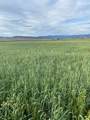 667-875 State Hwy 299 E - Photo 15