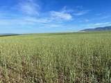 667-875 State Hwy 299 E - Photo 18
